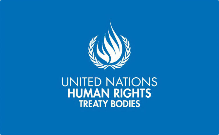 UN Treaty Bodies