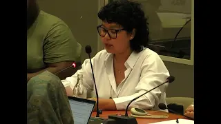Aylar Rezaqq’s intervention at the UN CEDAW committee